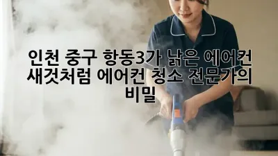 인천 중구 항동3가 낡은 에어컨, 새것처럼! 에어컨 청소 전문가의 비밀
